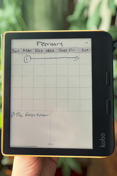 Kobo e-reader notebooks Kobo e-reader displaying the notebook page