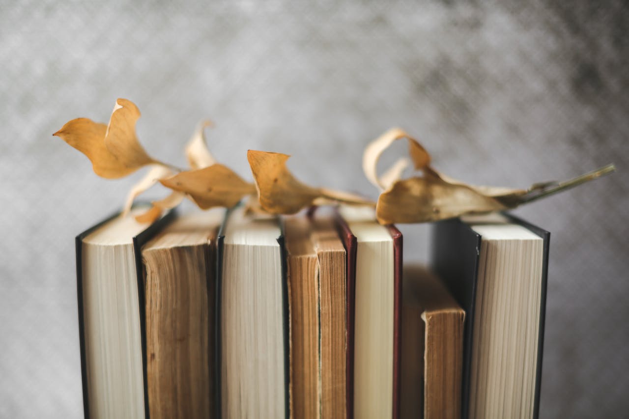 services-01 Artistic display of vintage books with dried leaves on top, evoking a nostalgic autumn mood.
