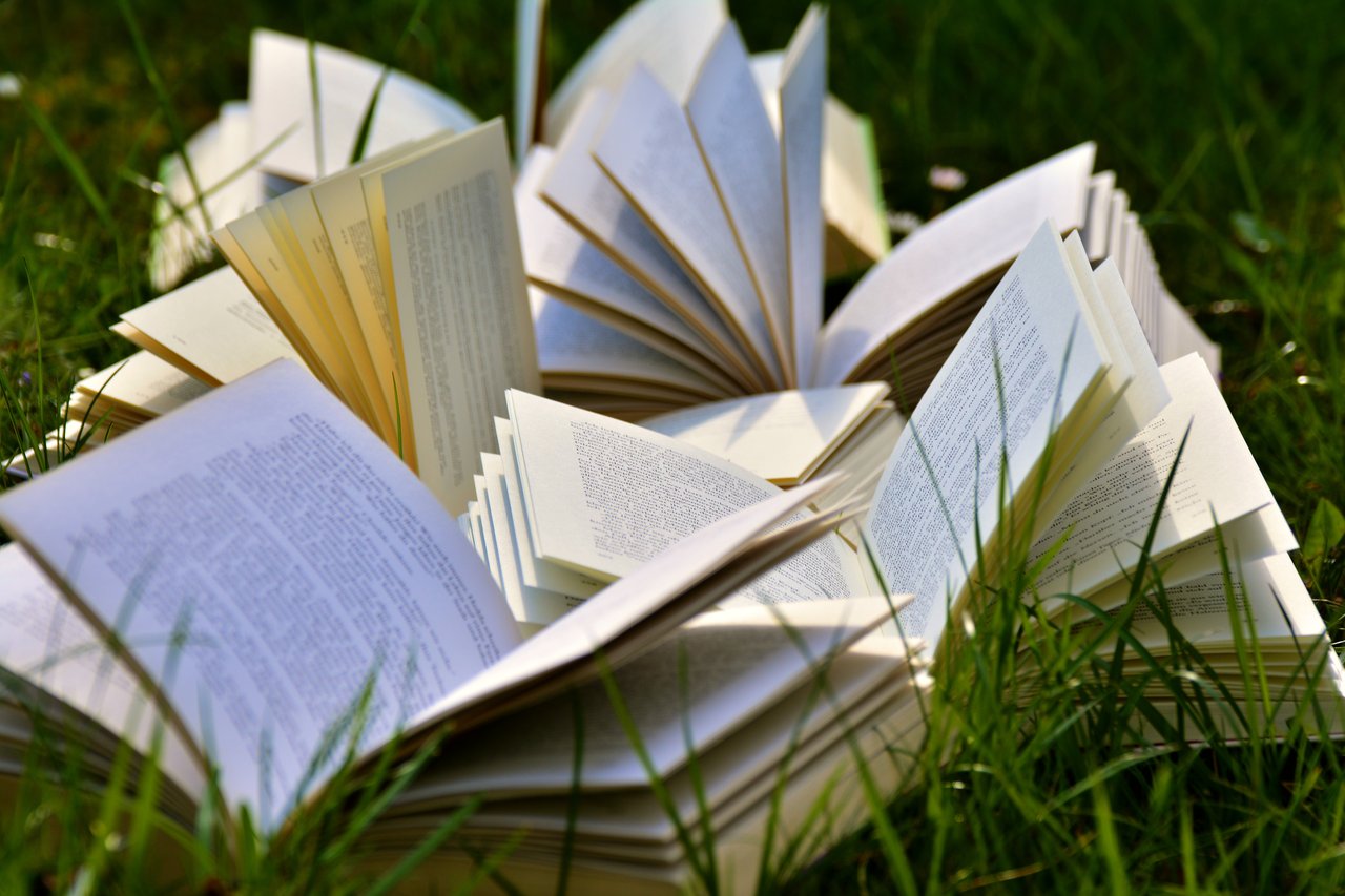 services-03 An artistic arrangement of open books in a grassy field, emphasizing a love for outdoor reading.